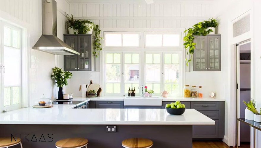 گیاهان آپارتمانی مناسب آشپزخانه | گل طبیعی روی اپن آشپزخانه